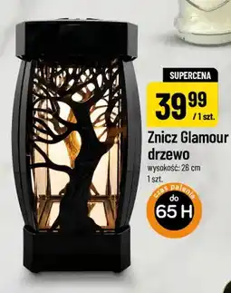 Polomarket Znicz Glamour drzewo oferta
