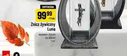 Polomarket Znicz żywiczny Luna oferta
