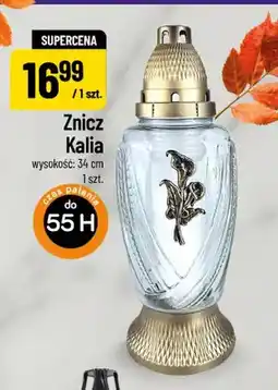 Polomarket Znicz Kalia oferta