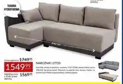 Abra Narożnik Lotos oferta