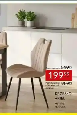 Abra Krzesło Ariel oferta