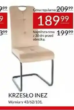 Abra Krzesło Inez oferta