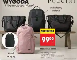 Biedronka Plecak lub torba oferta