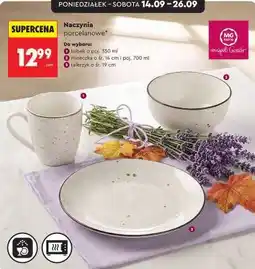 Biedronka Naczynia porcelanowe oferta