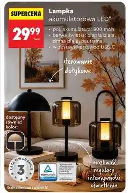 Biedronka Lampka akumulatorowa LED oferta