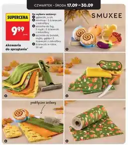 Biedronka Akcesoria do sprzątania oferta