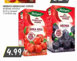 Słoneczko Herbata Herbaciany Ogród Dzika Róża Herbapol oferta