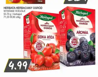 Herbata Herbaciany Ogród Dzika Róża Herbapol