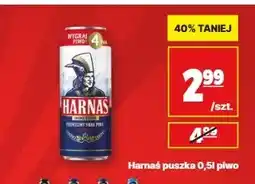 API MARKET Piwo Harnaś oferta