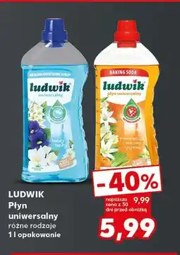 Kaufland Płyn uniwersalny Ludwik oferta