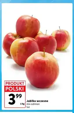 Intermarche Jabłka wczesne oferta