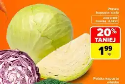 Carrefour Polska kapusta biała oferta