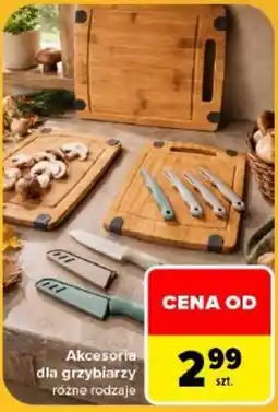 Carrefour Akcesoria dla grzybiarzy oferta
