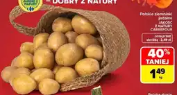 Carrefour Polskie ziemniaki jadalne JAKOŚĆ Z NATURY CARREFOUR oferta
