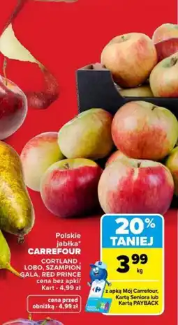 Carrefour Polskie jabłka carrefour oferta