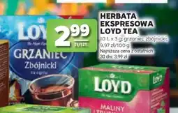 Stokrotka Market HERBATA EKSPRESOWA LOYD TEA oferta