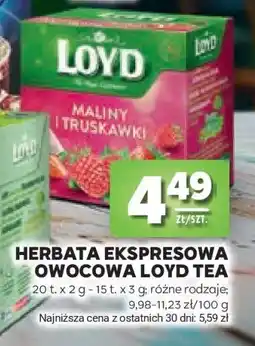 Stokrotka Market Herbata Ekspresowa Owocowa Loyd Tea oferta
