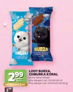 Stokrotka Market Lody Burza, Chmurka Koral oferta