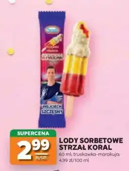 Stokrotka Market Lody Sorbetowe Strzał Koral oferta