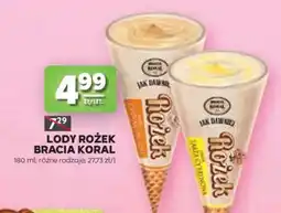 Stokrotka Market Lody rożek Bracia Koral oferta