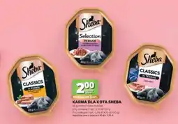 Stokrotka Market Karma dla kota Sheba oferta