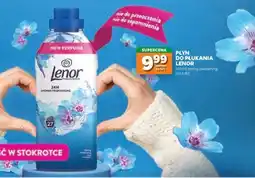 Stokrotka Market Płyn do płukania Lenor oferta