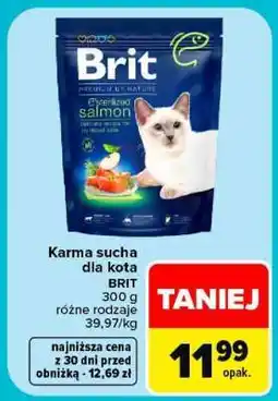 Carrefour Brit oferta