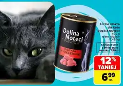 Carrefour Dolina Noteci oferta