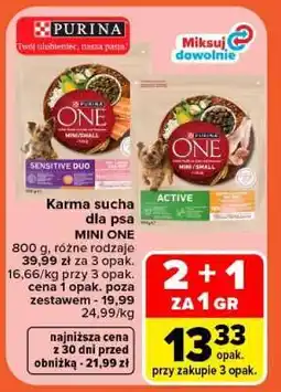 Carrefour PURINA ONE MINI/SMALL oferta