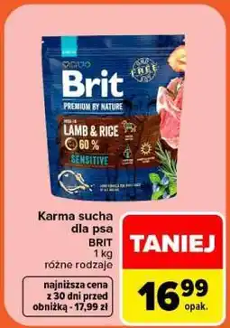 Carrefour Brit oferta