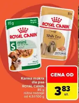 Carrefour ROYAL CANIN oferta