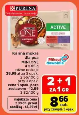 Carrefour PURINA ONE MINI/SMALL oferta
