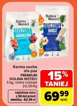 Carrefour Dolina Noteci oferta
