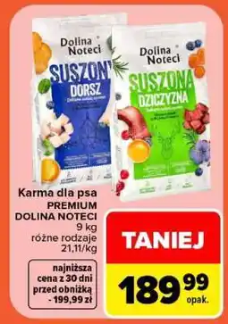 Carrefour Dolina Noteci oferta