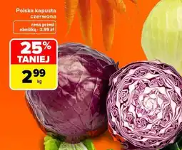 Carrefour Polska kapusta czerwona oferta