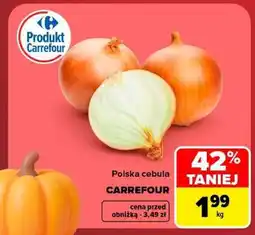 Carrefour Polska cebula oferta