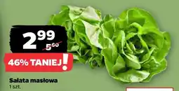 Netto Sałata masłowa oferta