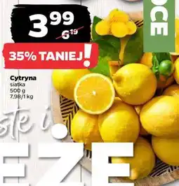 Netto Cytryna oferta
