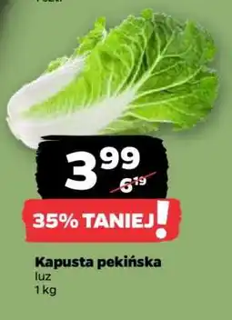 Netto Kapusta pekińska oferta