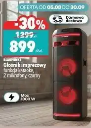 Biedronka Blaupunkt Głośnik imprezowy z funkcją karaoke oferta
