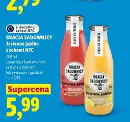 Lidl Sok Bracia Sadownicy Jesienne jabłko z sokami NFC żurawina z kardamonem oferta