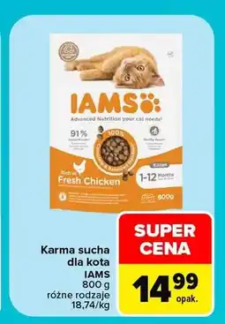 Carrefour Karma sucha dla kota IAMS oferta