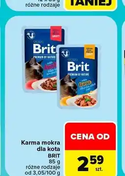 Carrefour Karma mokra dla kota Brit oferta