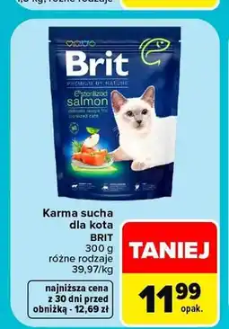 Carrefour Karma sucha dla kota Brit oferta