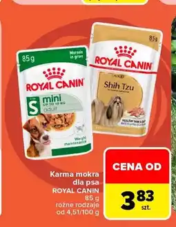 Carrefour Karma mokra dla psa Royal Canin oferta