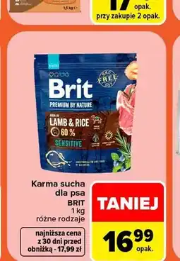 Carrefour Karma sucha dla psa Brit oferta
