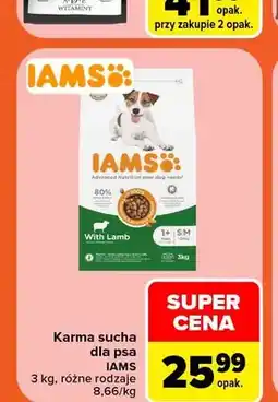 Carrefour Karma sucha dla psa Iams oferta