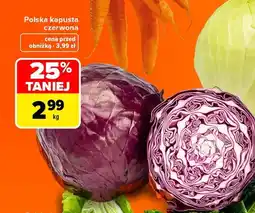 Carrefour Kapusta czerwona oferta