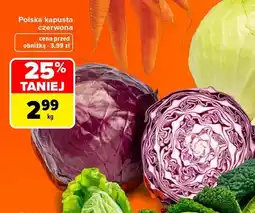 Carrefour Kapusta czerwona polska oferta