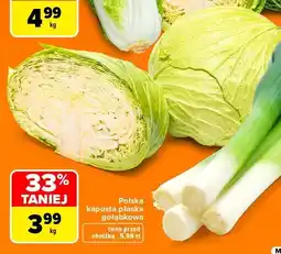 Carrefour Kapusta płaska gołąbkowa polska oferta